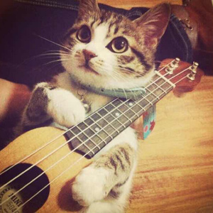 亚洲酒色1314狠狠做
